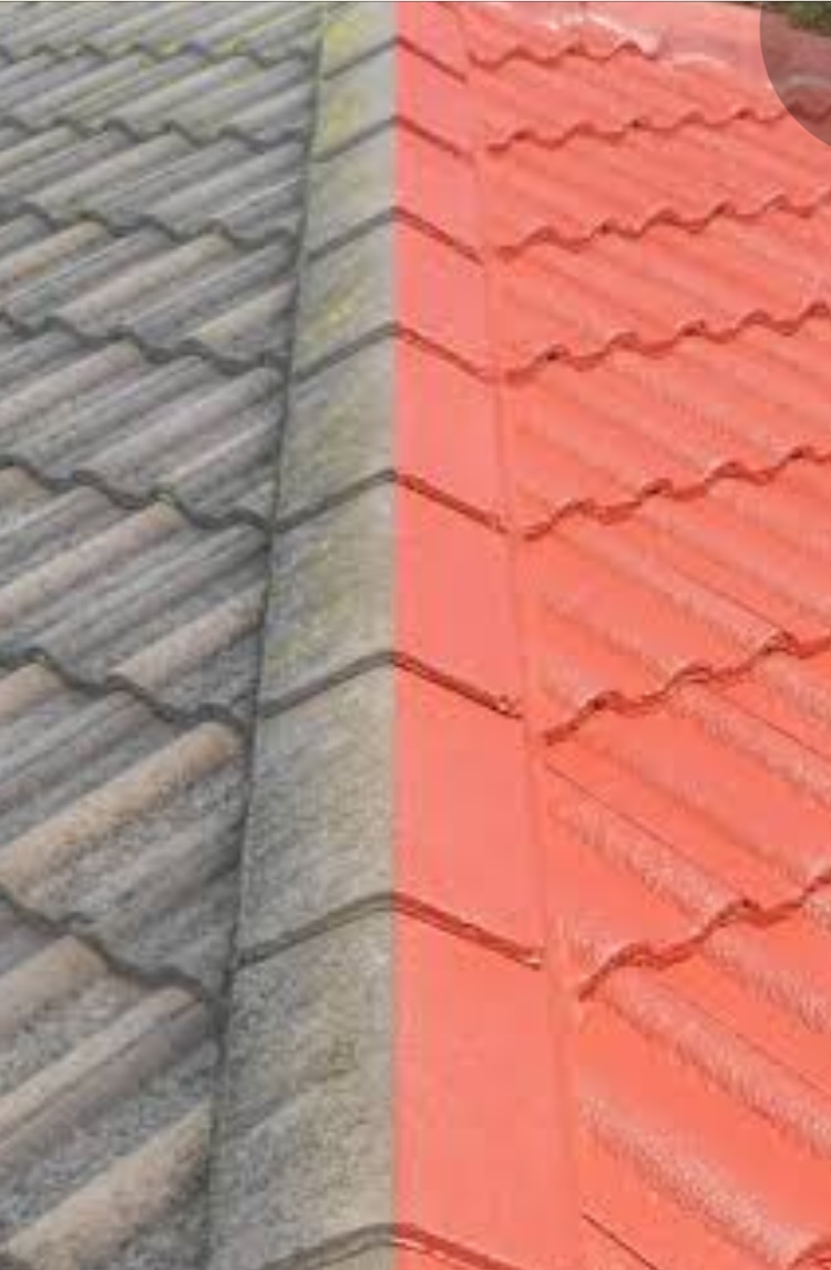 Roof painting