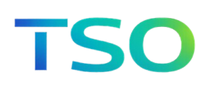 The Solutions Office Logo